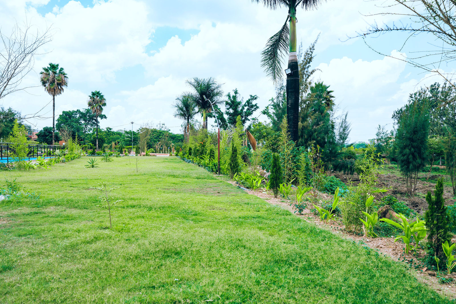 Tikvah Gardens