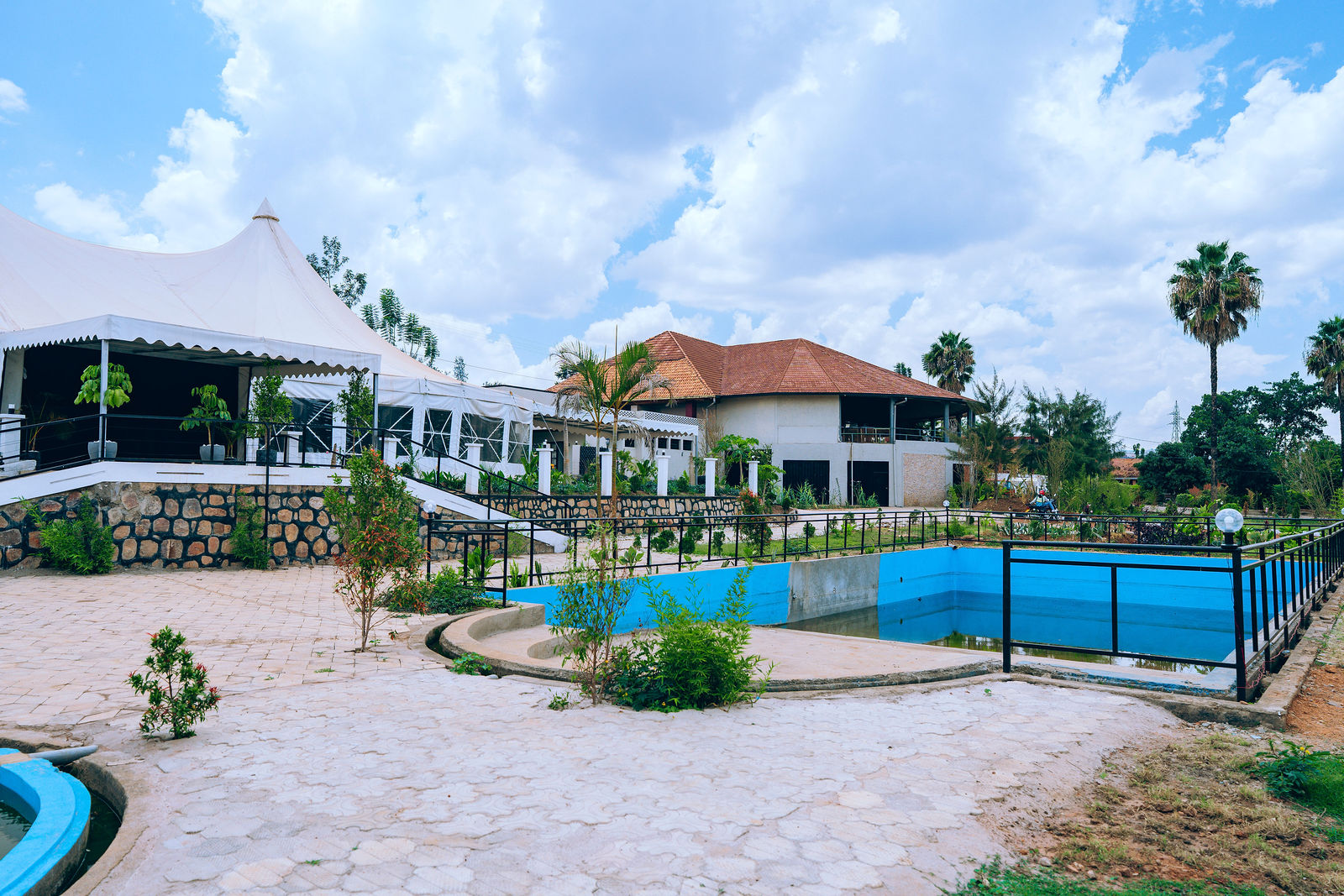 Garden Palms